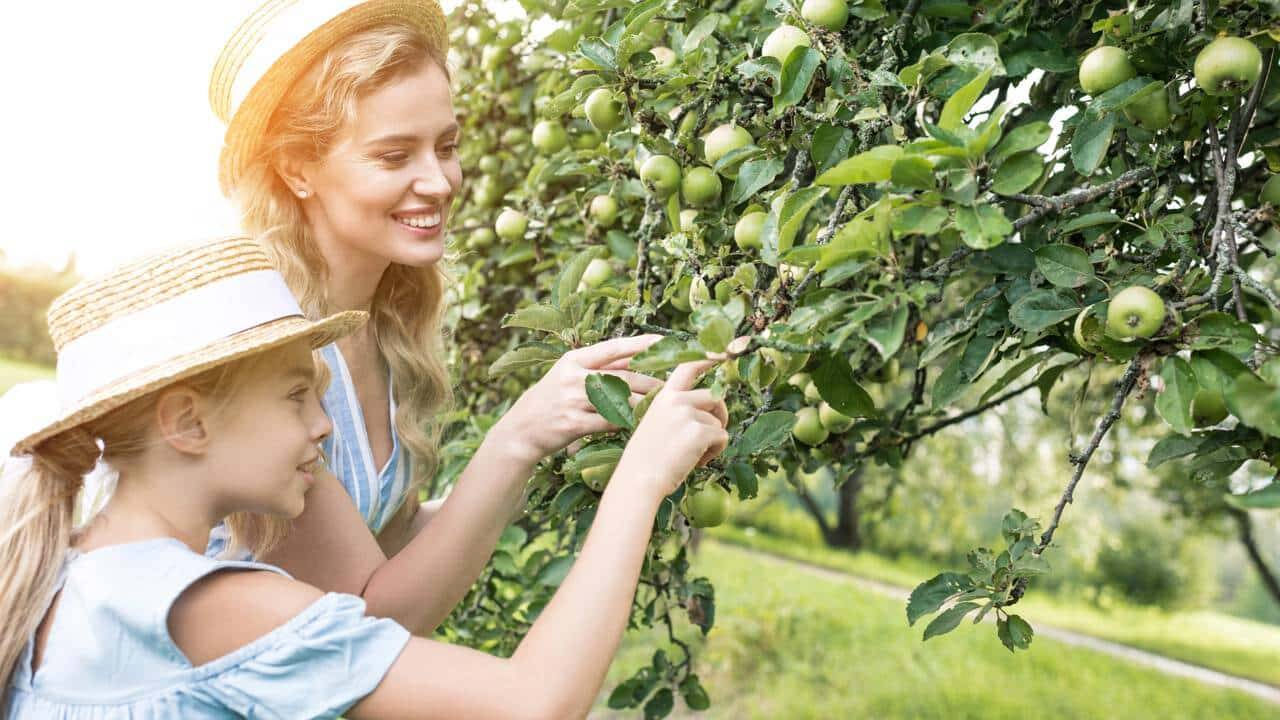 Criança e tutora estudando árvore no jardim