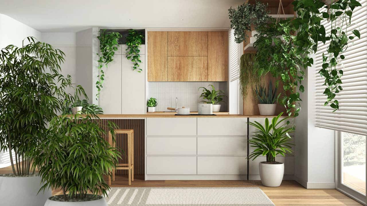 decoração biofílica _1762030295086