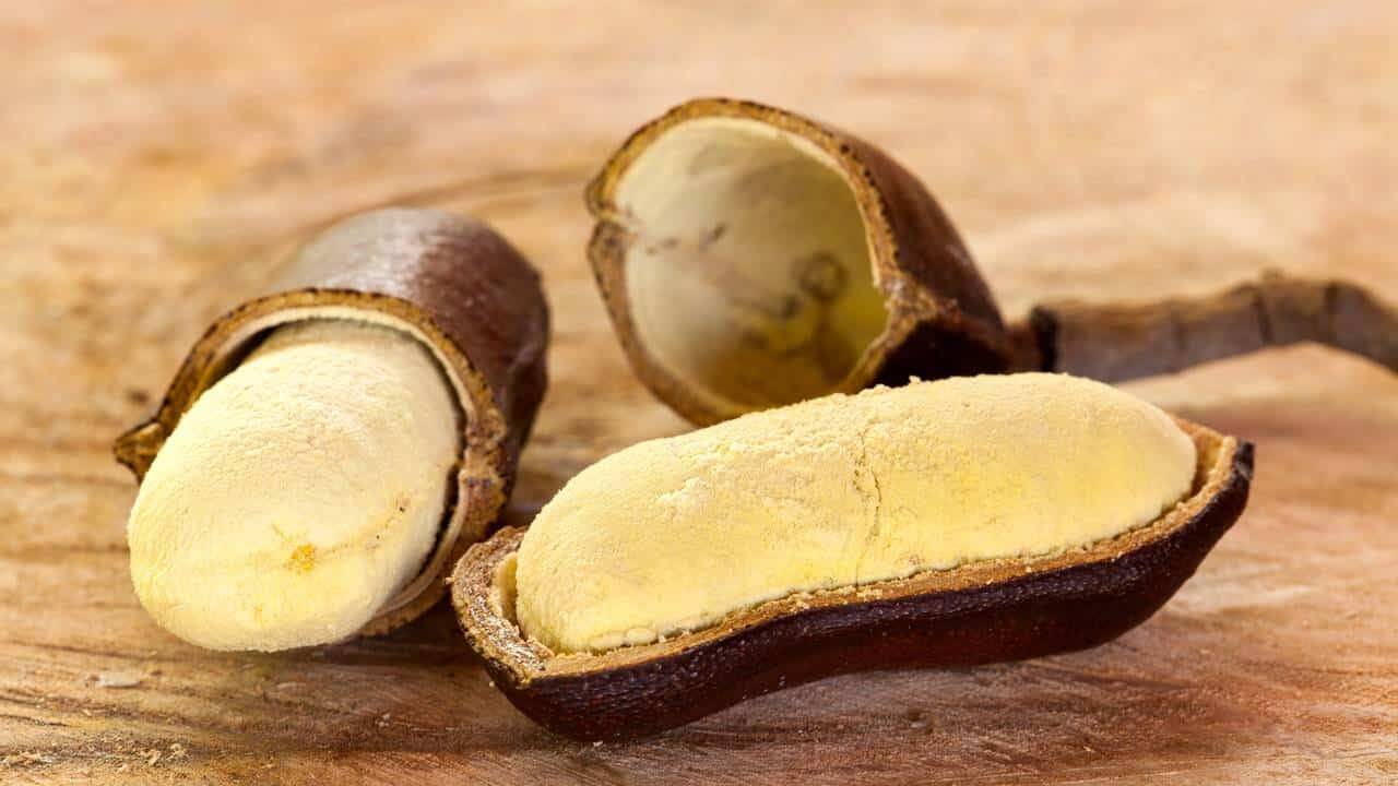 jatobá