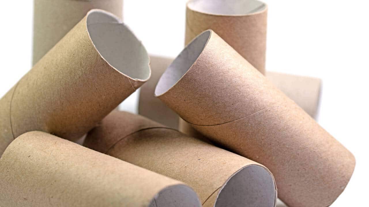 tubos de papel higienico_1762548602933