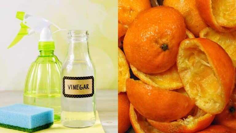 Vinagre com cascas de laranja na limpeza