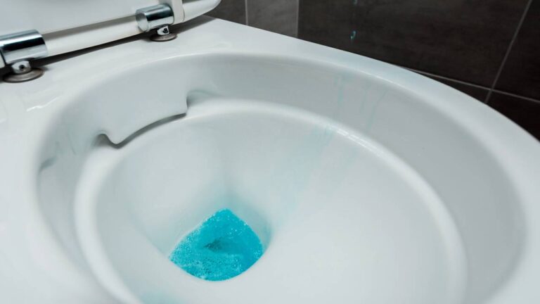 Vaso sanitário limpo