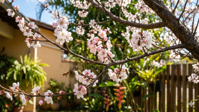 Galhos de ameixeira com flores brancas e rosadas