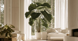Planta orelha-de-elefante em vaso branco decorando uma sala iluminada próxima a uma grande janela.