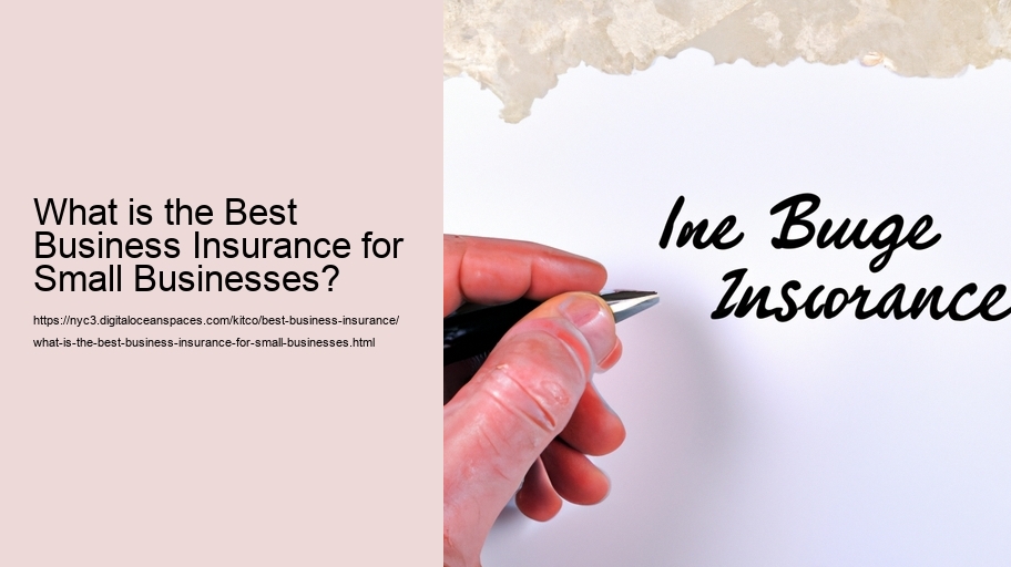 What is the Best Business Insurance for Small Businesses?