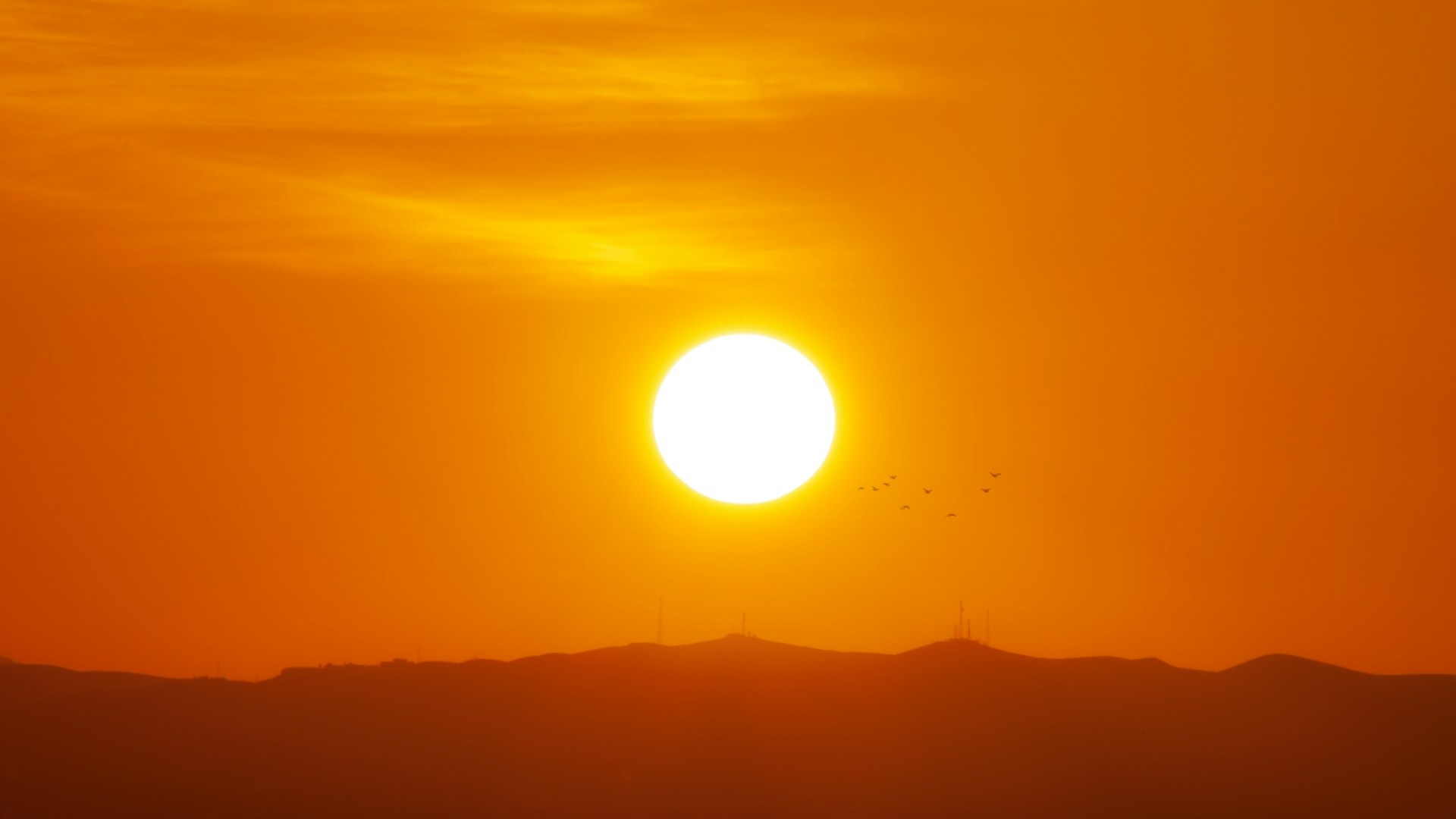 Welcome to the Kurdish Students Network