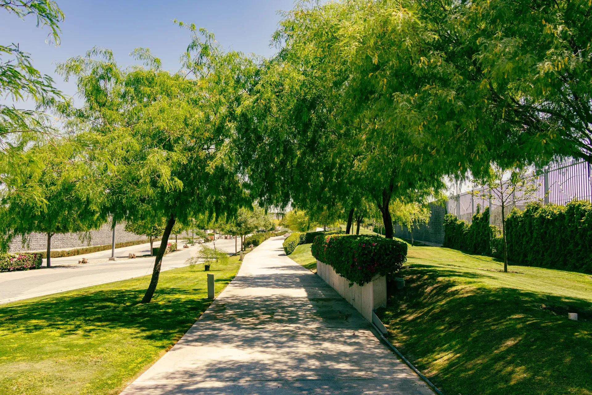 Jardines y áreas verdes