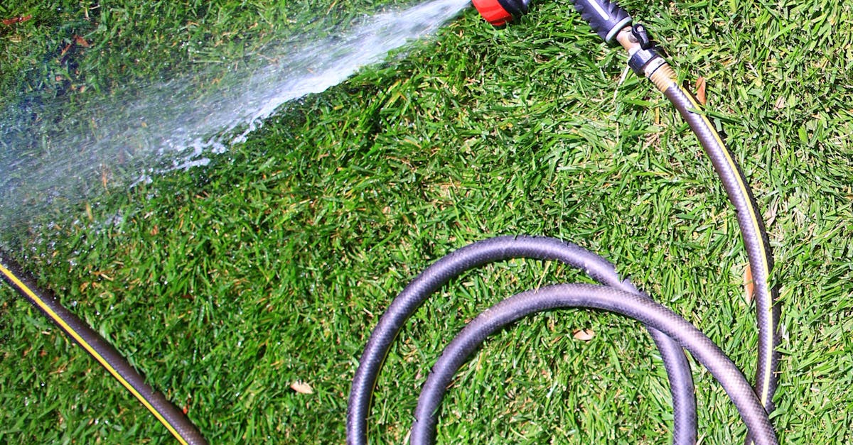 Lawn Care Scottsdale