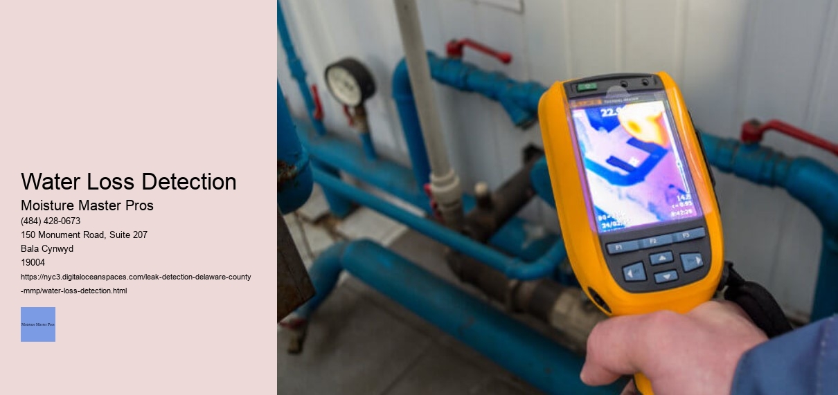 Water Loss Detection