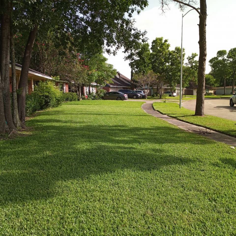 Leeds Tree Service Llc York St Hanover Pa 17331