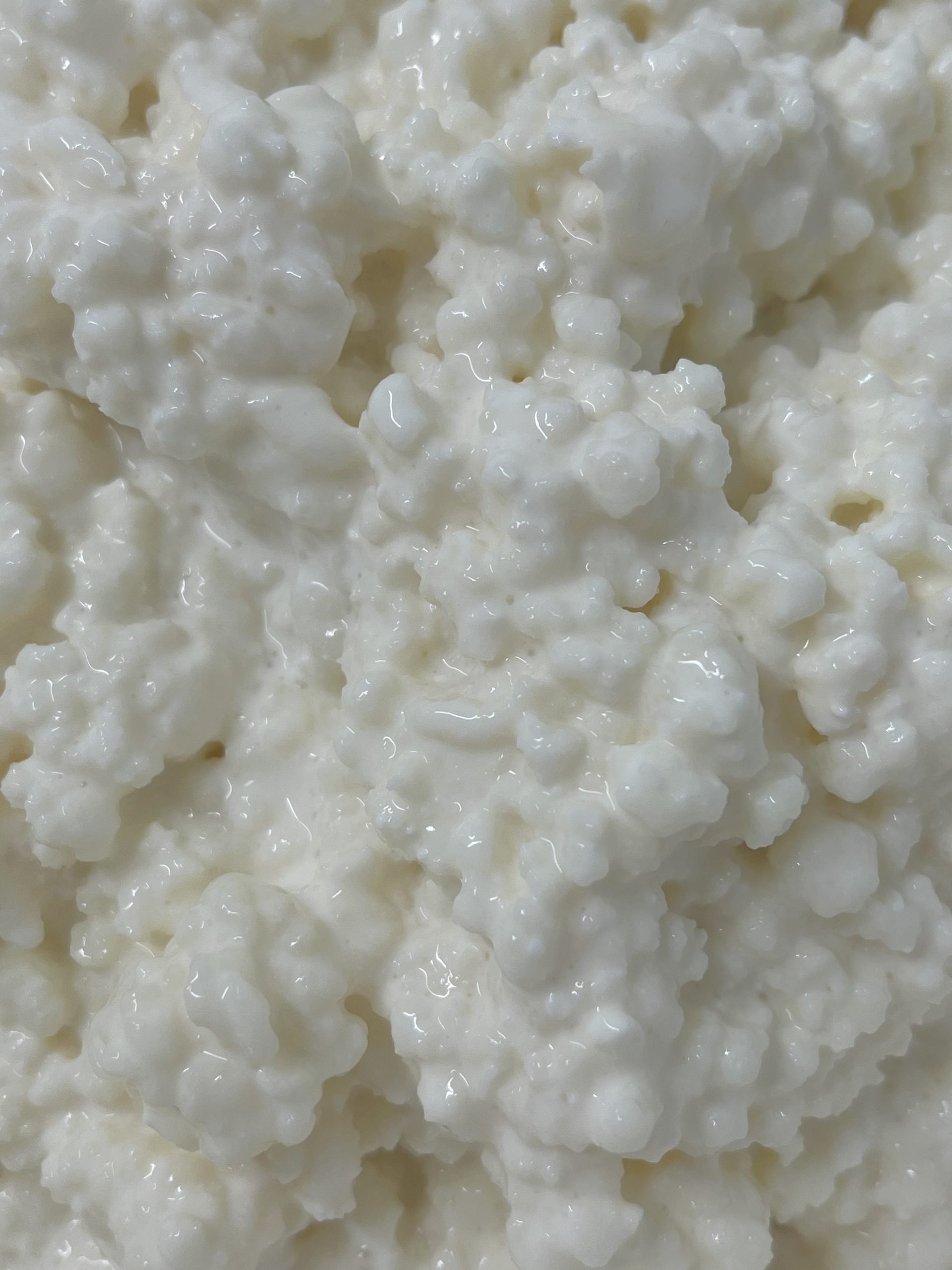 Live Kefir Company