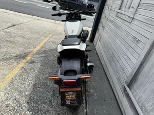 SOFTAIL FXDR 114 