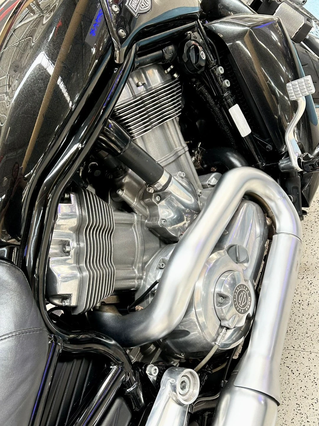 V ROD MUSCLE 