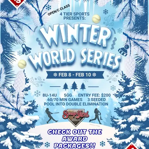 4TS ❄️ Winter World Series~5x4TS POINTS