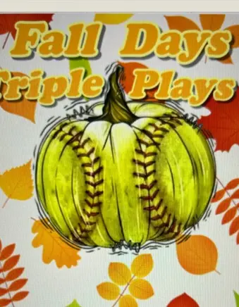 Games are canceled~Rained Out~MVP~C Class~Fall🍁Days 🥎Triple Plays~