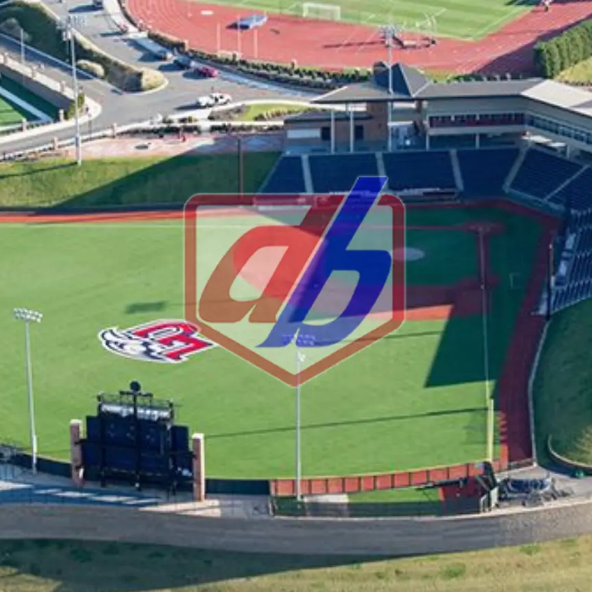 Liberty Cup- Liberty- Lynchburg Hillcats
