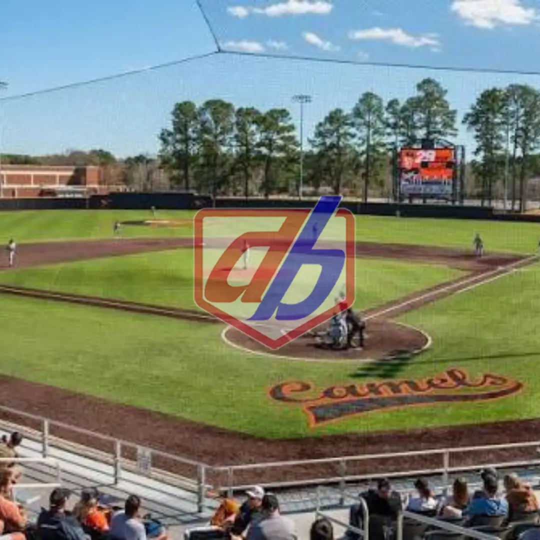 Triad Classic- Campbell- DAP
