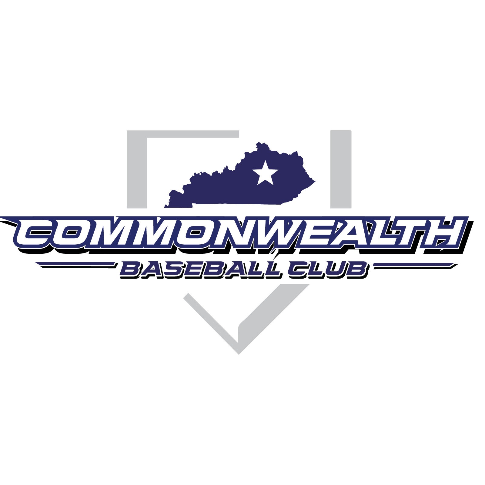 16U Commonwealth Grays 2024 Team Profile | Dynamic Baseball