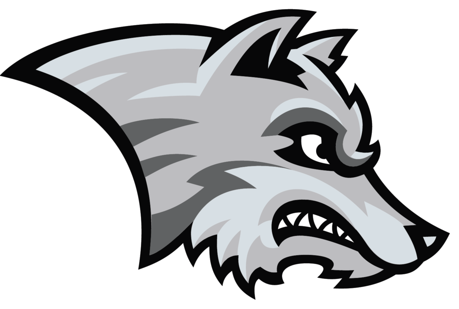 Godfrey Timberwolves 2023 Team Profile | Greater Midwest Baseball | The ...