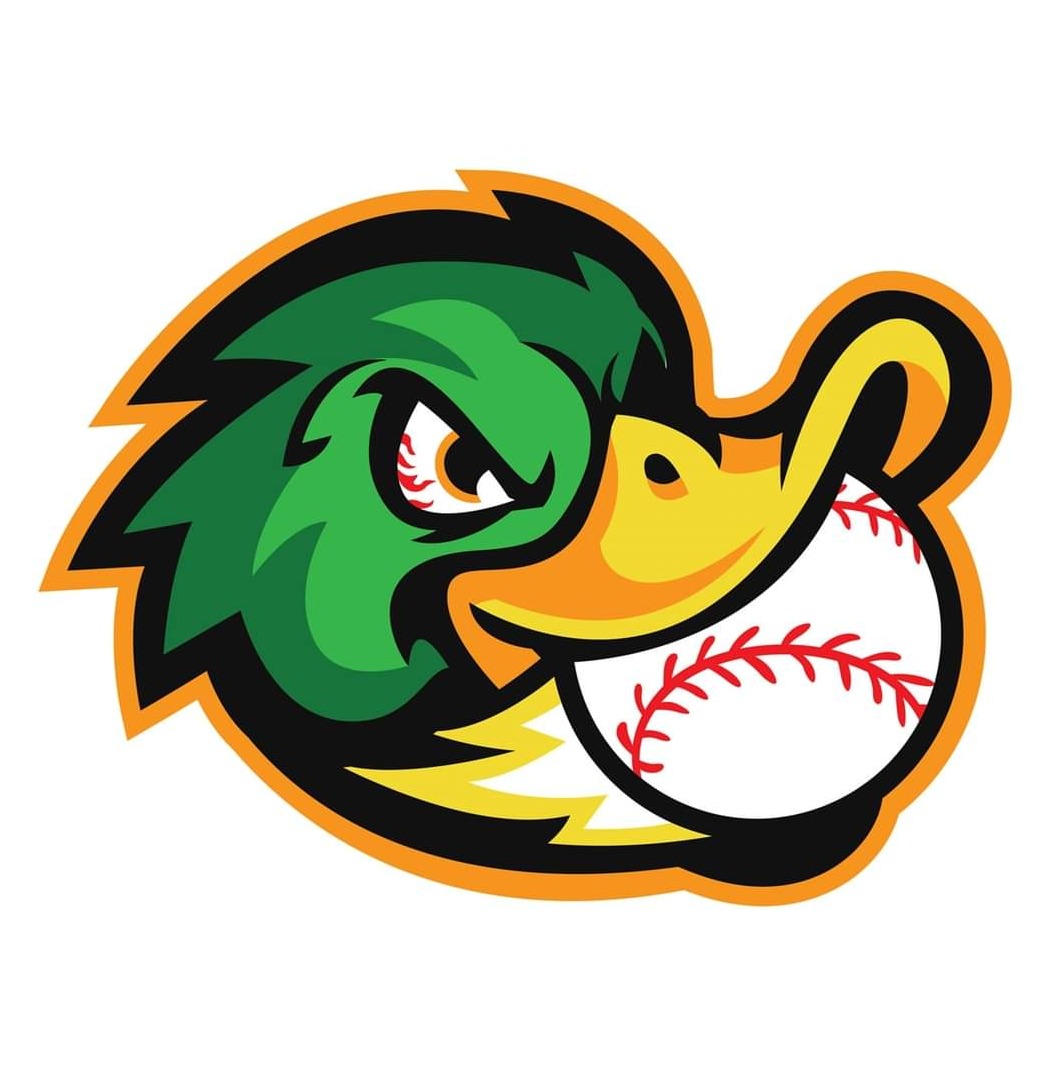 Midwest Mallards 12u 2023 Team Profile Greater Midwest Baseball The