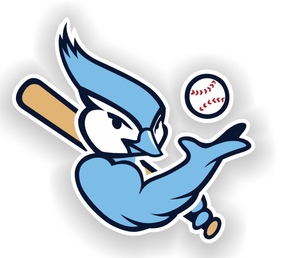 SI Blue Jays 13U (Garcia) 2024 Team Profile | Greater Midwest Baseball ...