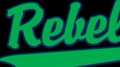 Downers Grove Rebels 2024 Team Profile | Baseball & Softball ...