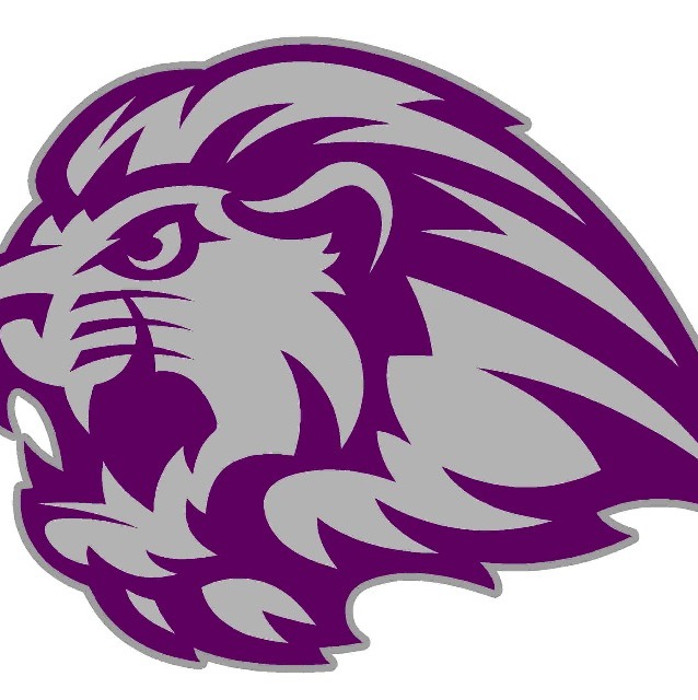 Hamlin Park 8U Purple Lions 2023 Team Profile | Baseball & Softball ...