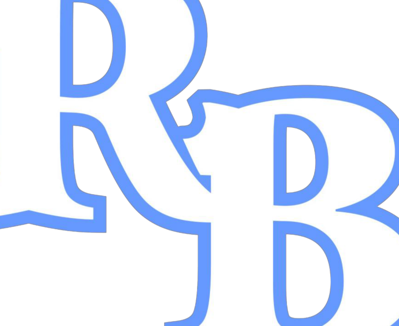 RHINO Baseball Eastman 2023 Team Profile Baseball & Softball