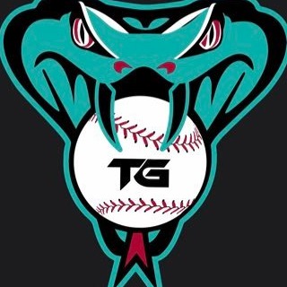 TG DBacks - Ocee 2022 Team Profile | 17 Baseball