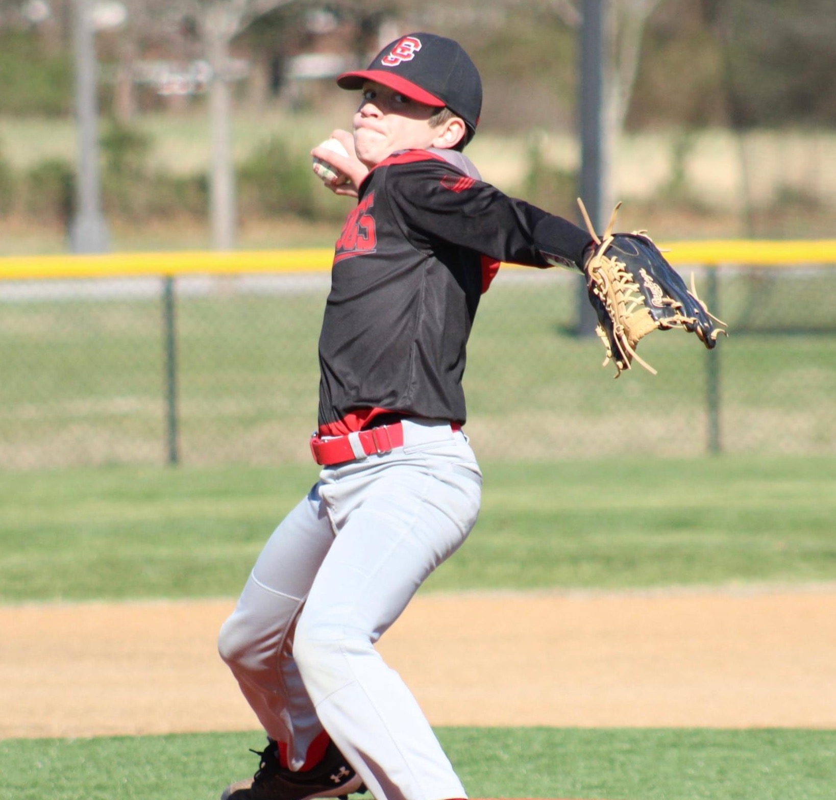 CJ Bulldogs Team Profile | Ballparks National - Youth Baseball ...