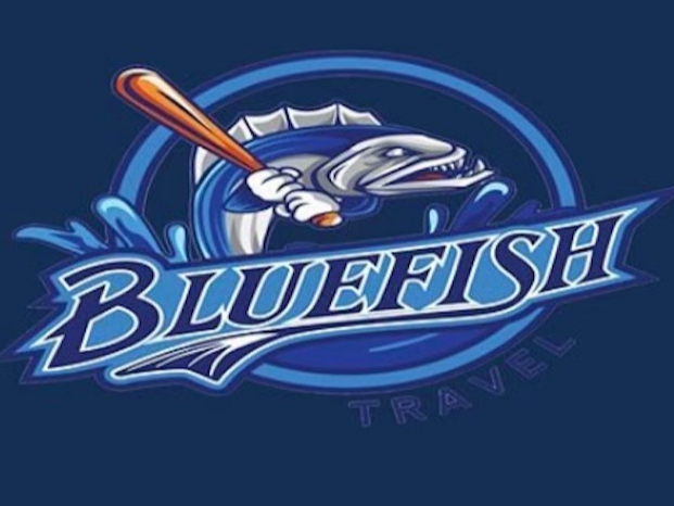 Bluefish Baseball (CT) - Team Scout Day