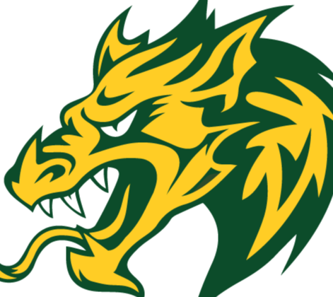 Hamden Dragons Travel Baseball 2024 Team Profile | Firecracker Sports ...