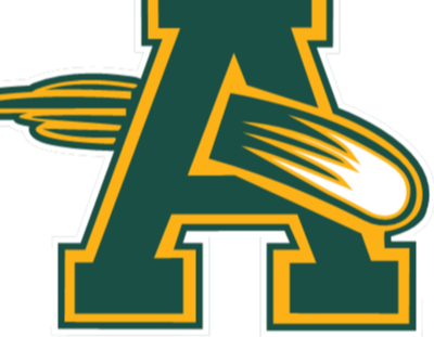 Amherst Comets Team Profile | Youth Sports | Five Tool