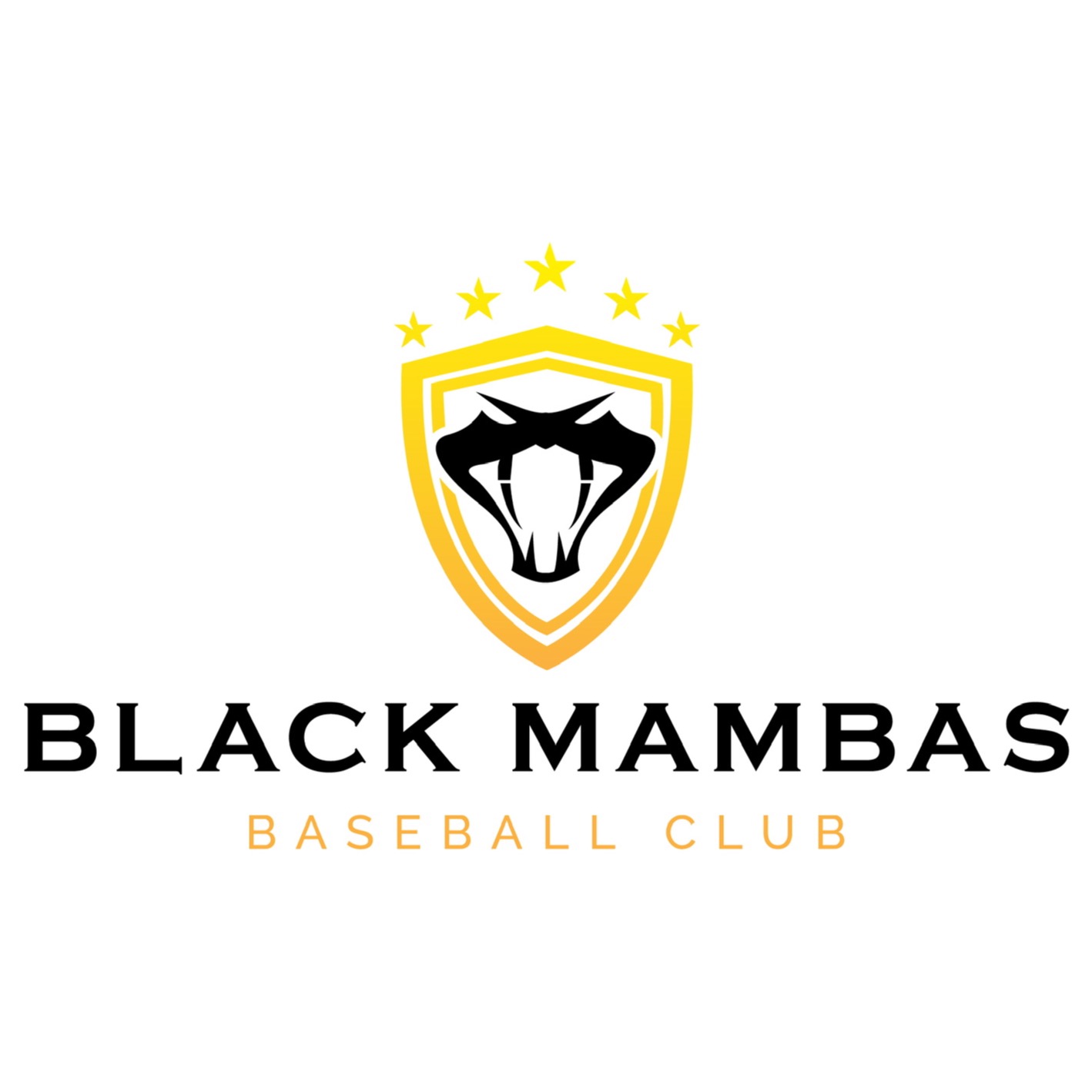 Black Mambas Baseball Club 2023 Team Profile Youth Sports Five Tool