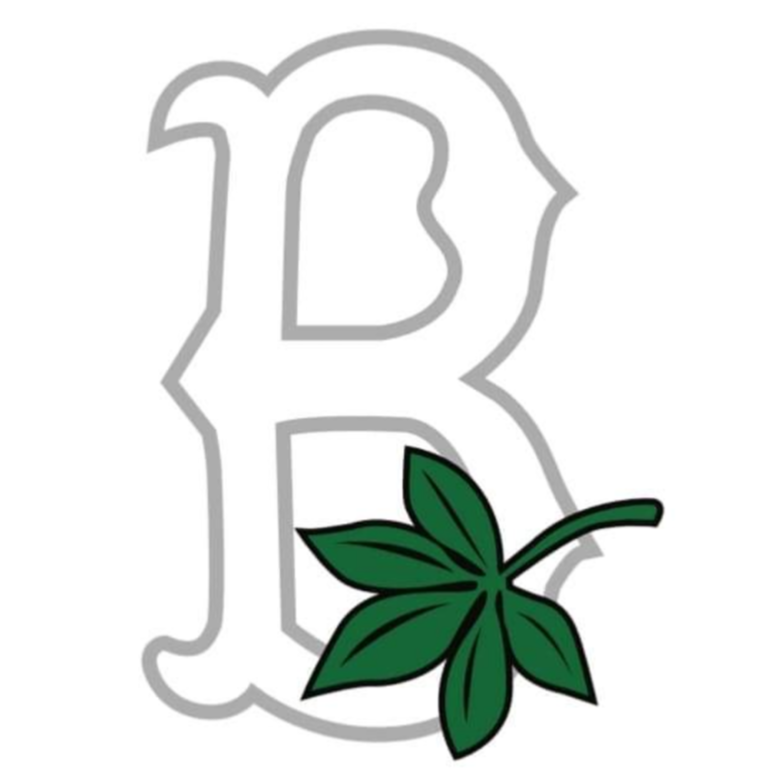 Buckeye Elite Baseball 2022 Team Profile Baseball Tournaments Five