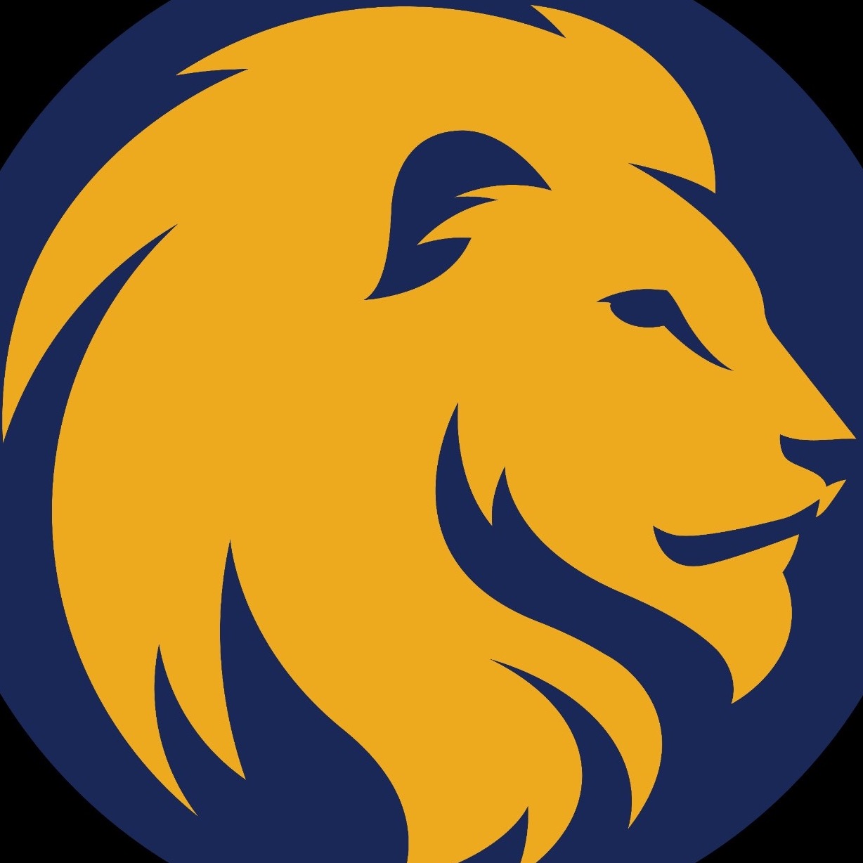 Gahanna Lions 2023 Team Profile | Youth Sports | Five Tool