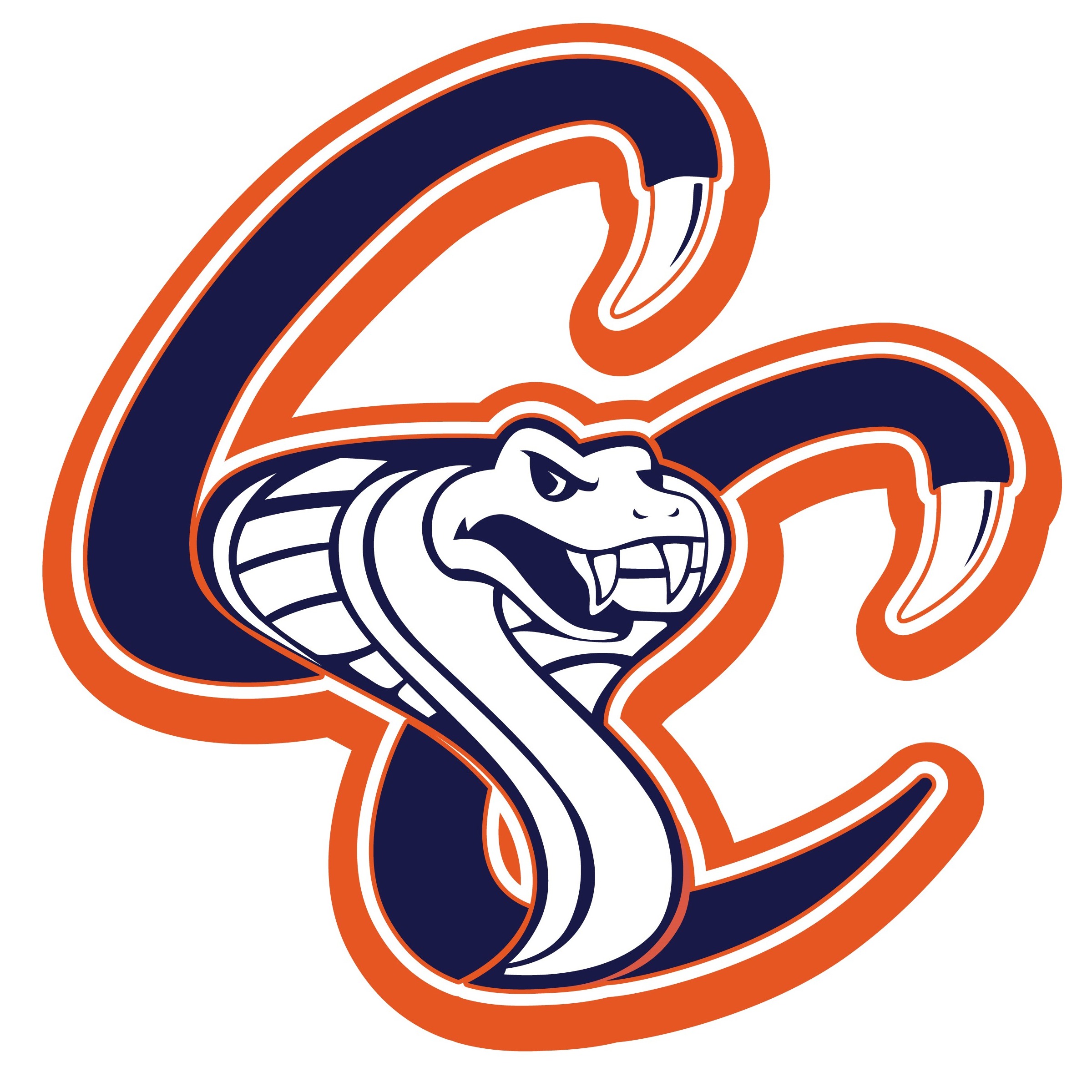 Cooperstown Cobras 16U Munguia 2022 Team Profile | GAPT Baseball ...