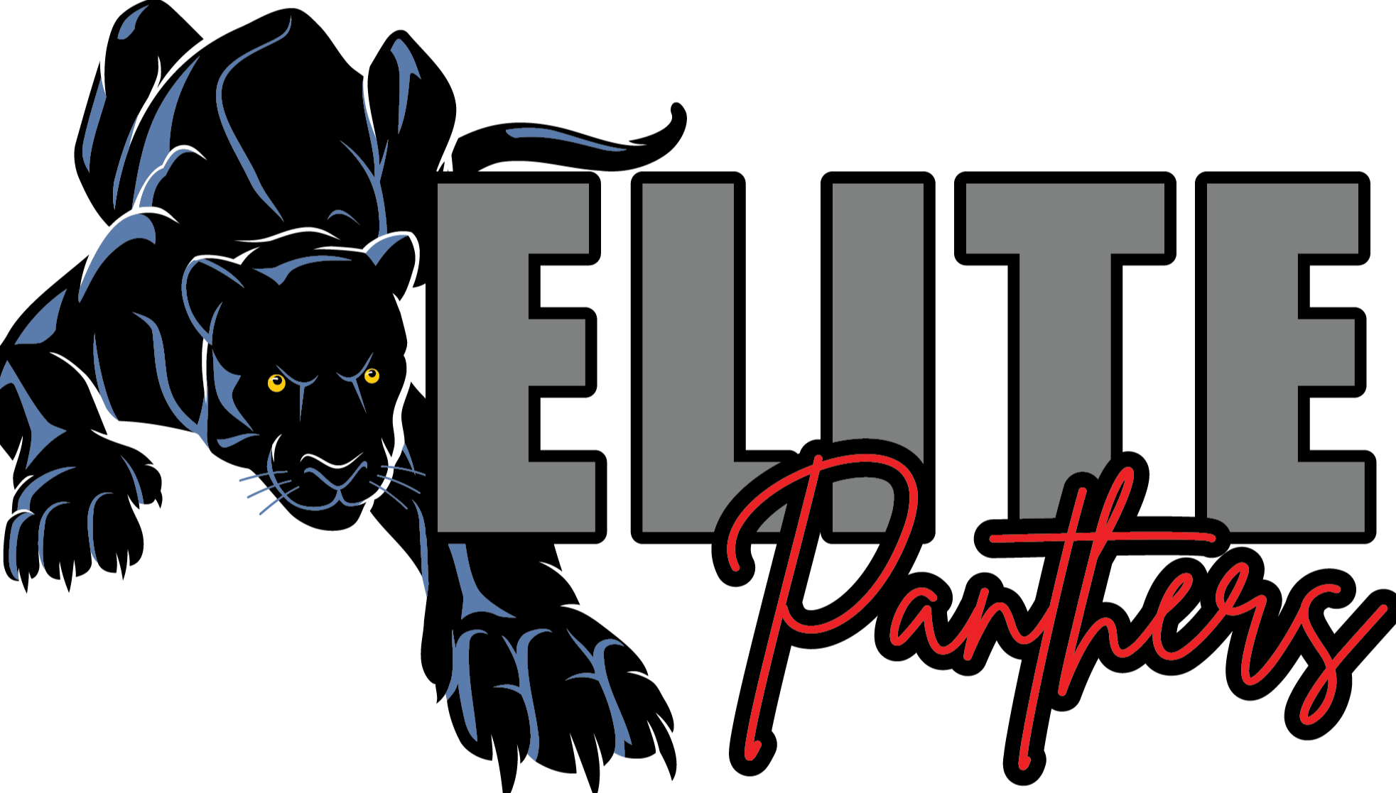 Elite Panthers Team Profile | Prime Time Softball | Youth Softball ...