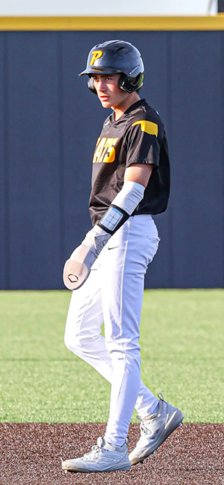 Blaine Hollingshead