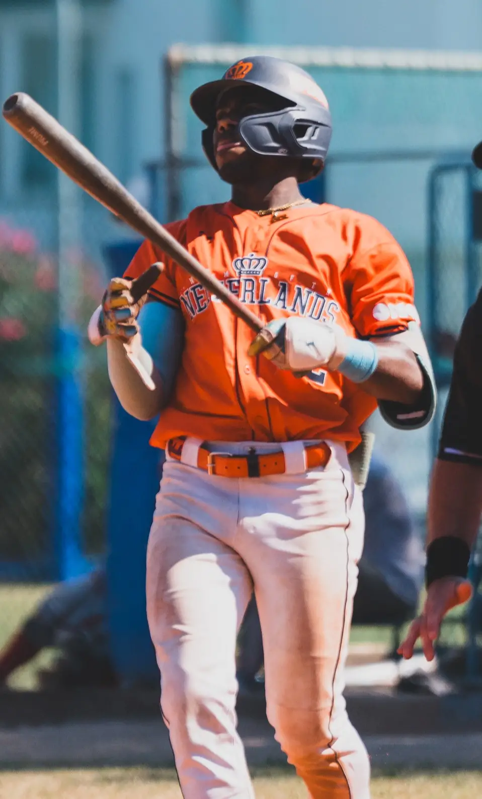 Zazil Schoop