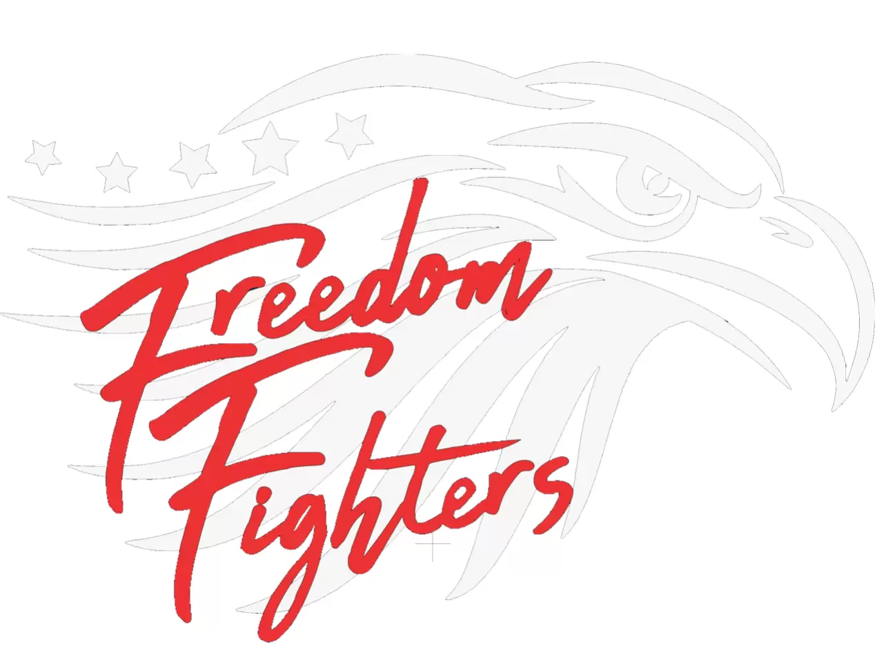 Freedom Fighters 2025 Team Profile | RBI Tournaments