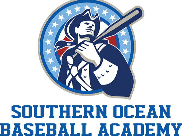 southern ocean baseball academy        
        <figure class=