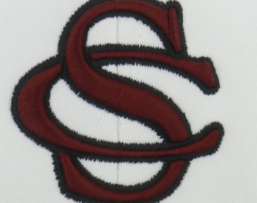 Slim's Chance Bulldogs - Wilson 2021 Team Profile | AC Baseball ...