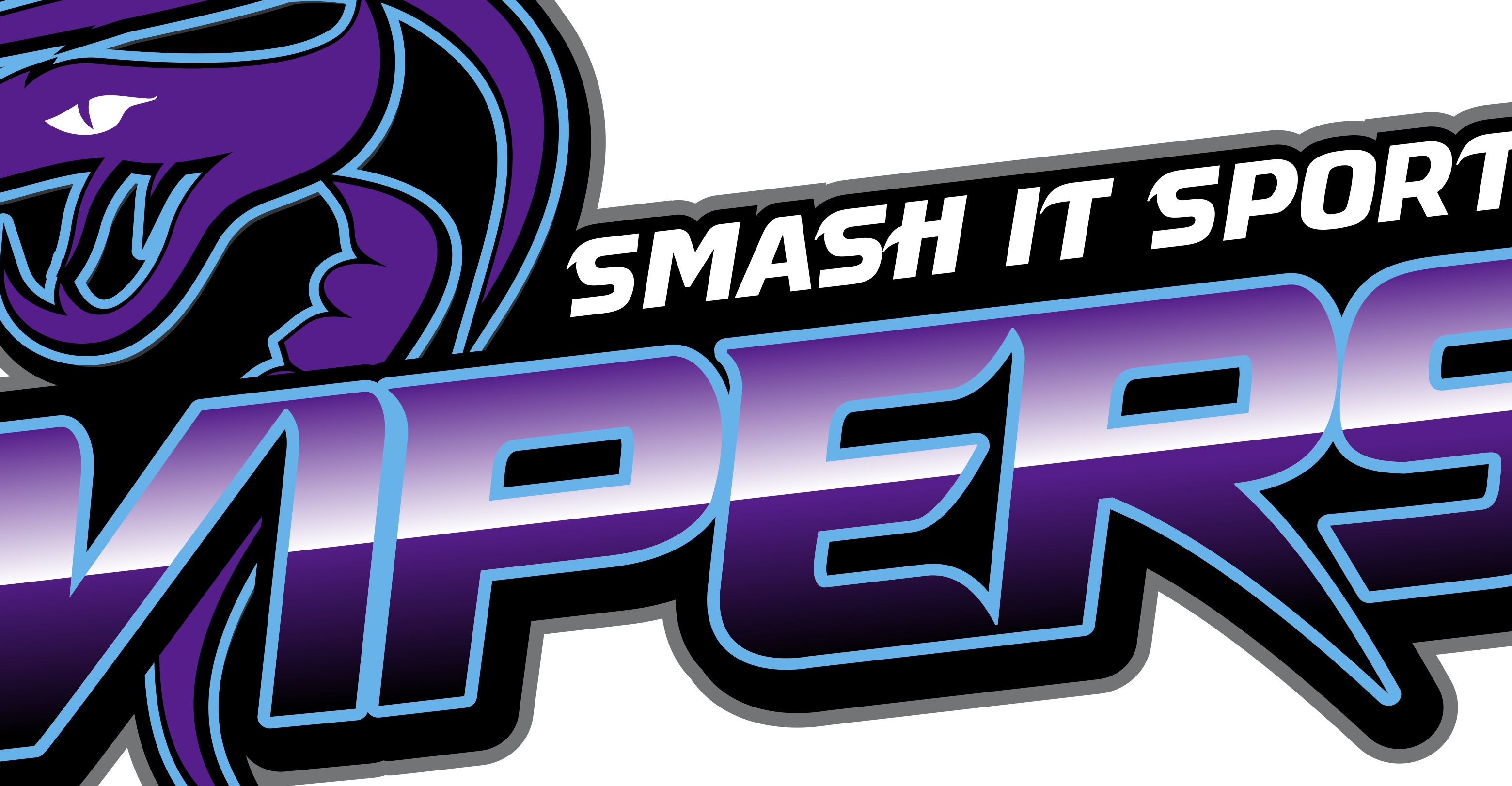 Smash it Sports Vipers Dusett 2023 Team Profile AC Baseball