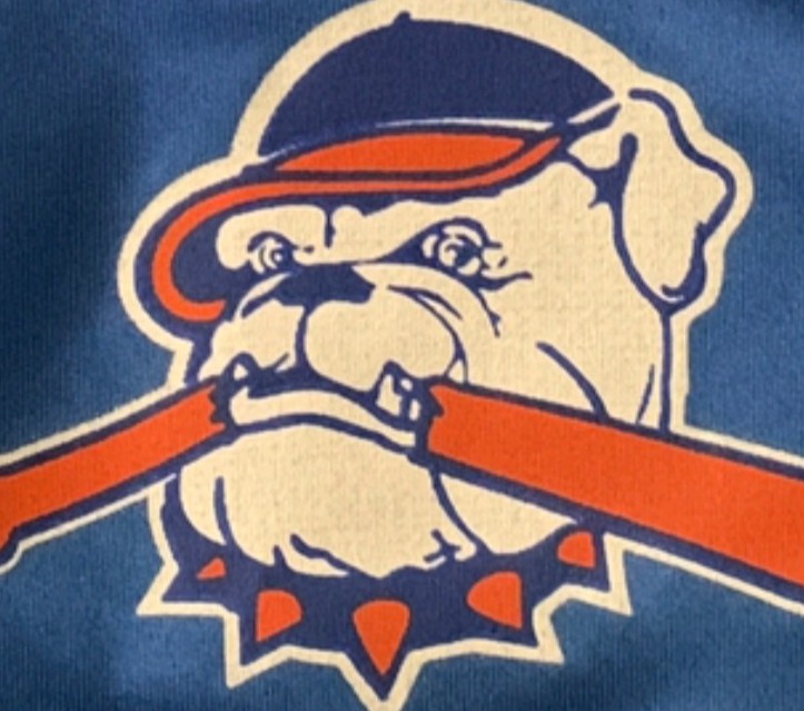 Motor City Hit Dogs 2023 Team Profile | Tournaments | Prep Baseball Report