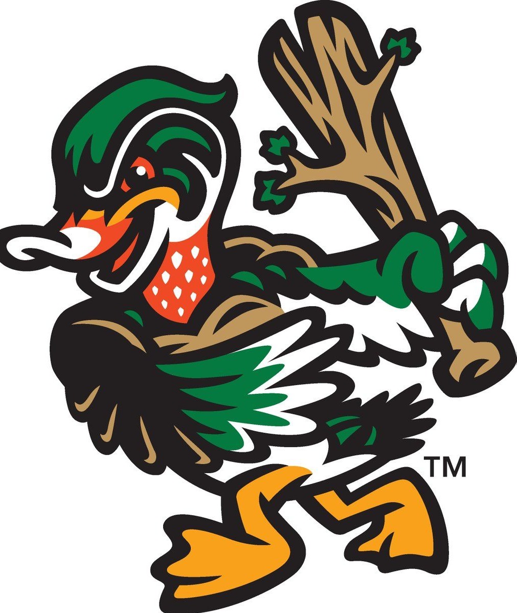 LA Wood Ducks 9u 2023 Team Profile Youth Baseball Tournaments 2D Sports