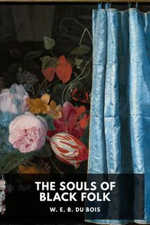 Cover of The Souls of Black Folk