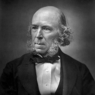 A grayscale photo portrait of Herbert Spencer. He is wearing a dark-colored suit with a bowtie. He has a bald head and prominent sideburns that extend all the way down to his chin. He is intently staring off toward the left of the camera. Photo Credit: Herbert Rose Barraud (1888). Source: Wikimedia Commons