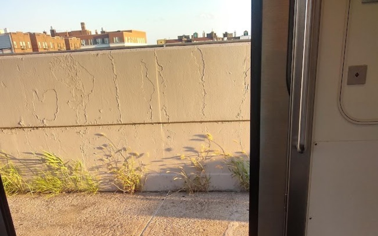 A view of Sunnyside from the open doors of the 7 train. Only the tops of buildings are visible.