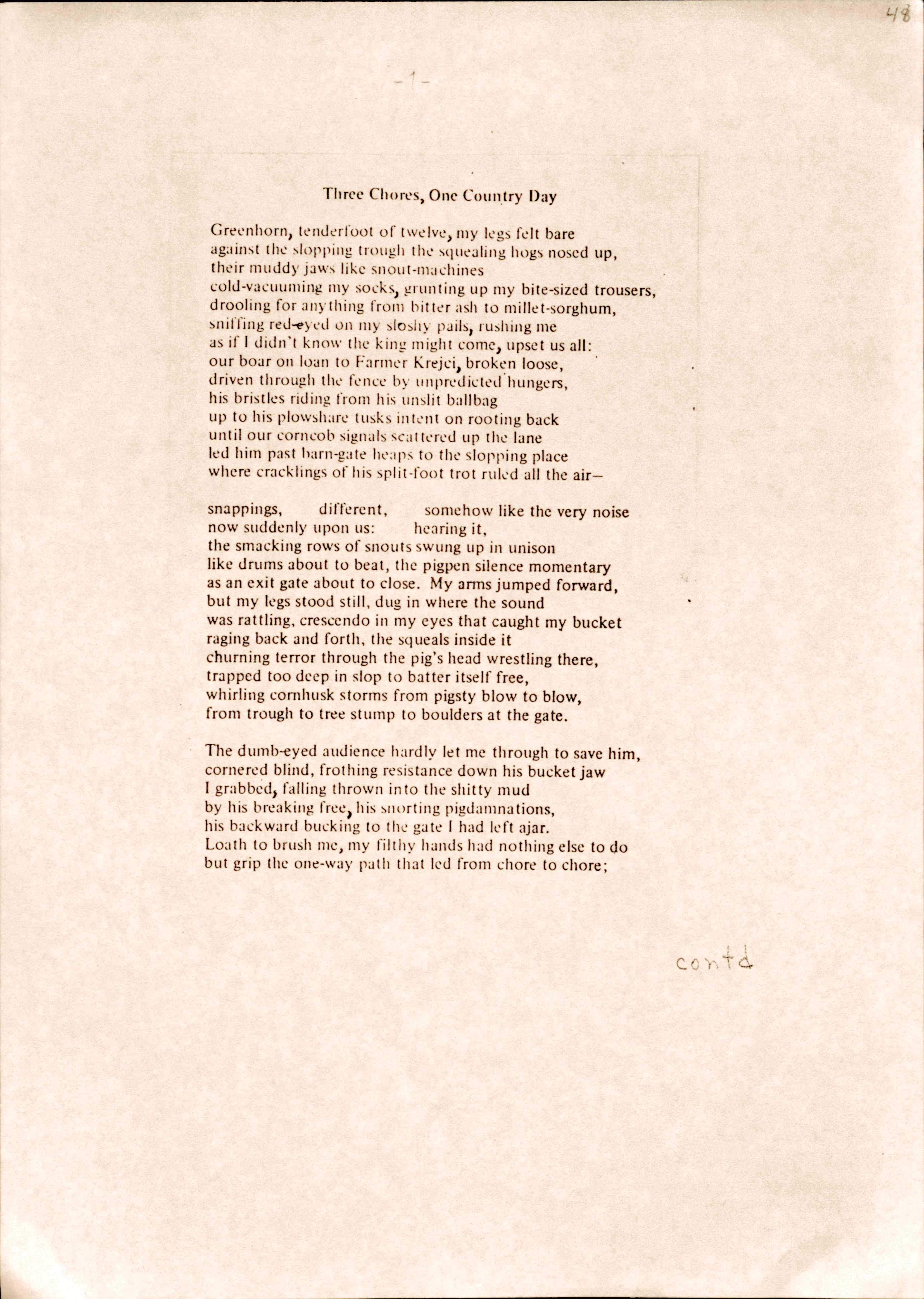 Three Chores, One Country Day

Greenhorn, tenderfoot of twelve, my legs felt bare
against the slopping trough the squealing hogs nosed up,
their muddy jaws like snout-machines 
cold-vacuuming my socks, grunting up my bite-sized trousers,
drooling for anything from bitter ash to millet-sorghum,
sniffing red-eyed on my sloshy pails, rushing me 
as if I didn't know the king might come, upset us all: 
our boar on loan to Farmer Krejci, broken loose, 
driven through the fence by unpredicted hungers, 
his bristles riding from his unslit ballbag 
up to his plowshare tusks intent on rooting back 
until our corncob signals scattered up the lane 
led him past barn-gate heaps to the slopping place 
where cracklings of his split-foot trot ruled all the air—

snappings,  different,  somehow like the very noise now suddenly upon us: hearing it, 
the smacking rows of snouts swung up in unison 
like drums about to beat, the pigpen silence momentary 
as an exit gate about to close. My arms jumped forward, 
but my legs stood still, dug in where the sound 
was rattling, crescendo in my eyes that caught my bucket raging back and forth, the squeals inside it 
churning terror through the pig's head wrestling there, trapped too deep in slop to batter itself free, 
whirling cornhusk storms from pigsty blow to blow, 
from trough to tree stump to boulders at the gate.

The dumb-eyed audience hardly let me through to save him, cornered blind, frothing resistance down his bucket jaw 
I grabbed, falling thrown into the shitty mud 
by his breaking free, his snorting pigdamnations, 
his backward bucking to the gate I had left ajar. 
Loath to brush me, my filthy hands had nothing else to do 
but grip the one-way path that led from chore to chore;
 
contd
